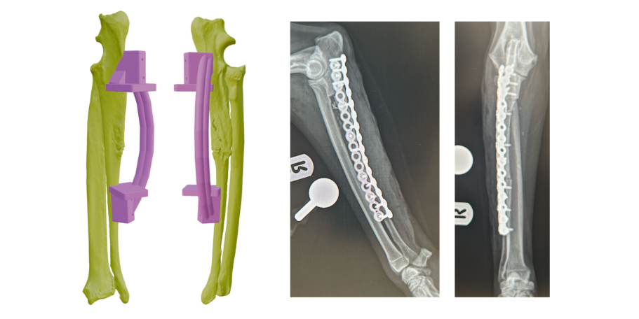 Ostectomy guide for limb-sparing